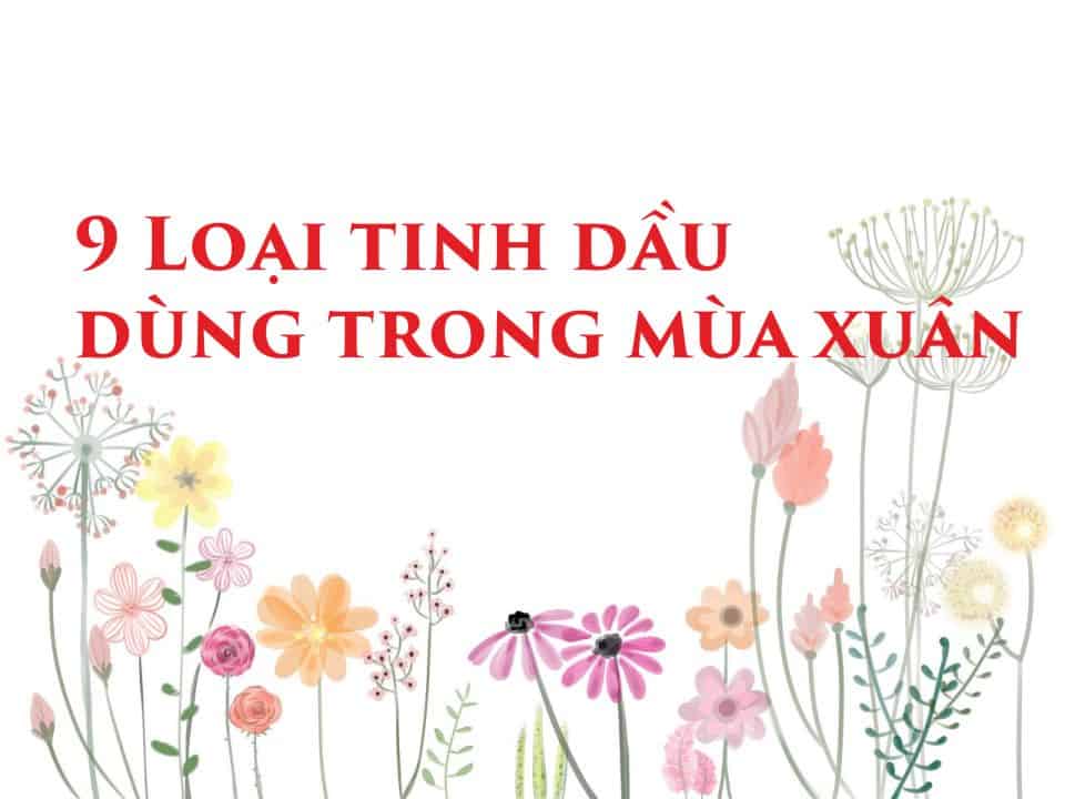 9 loại tinh dầu được dùng nhiều trong mùa xuân