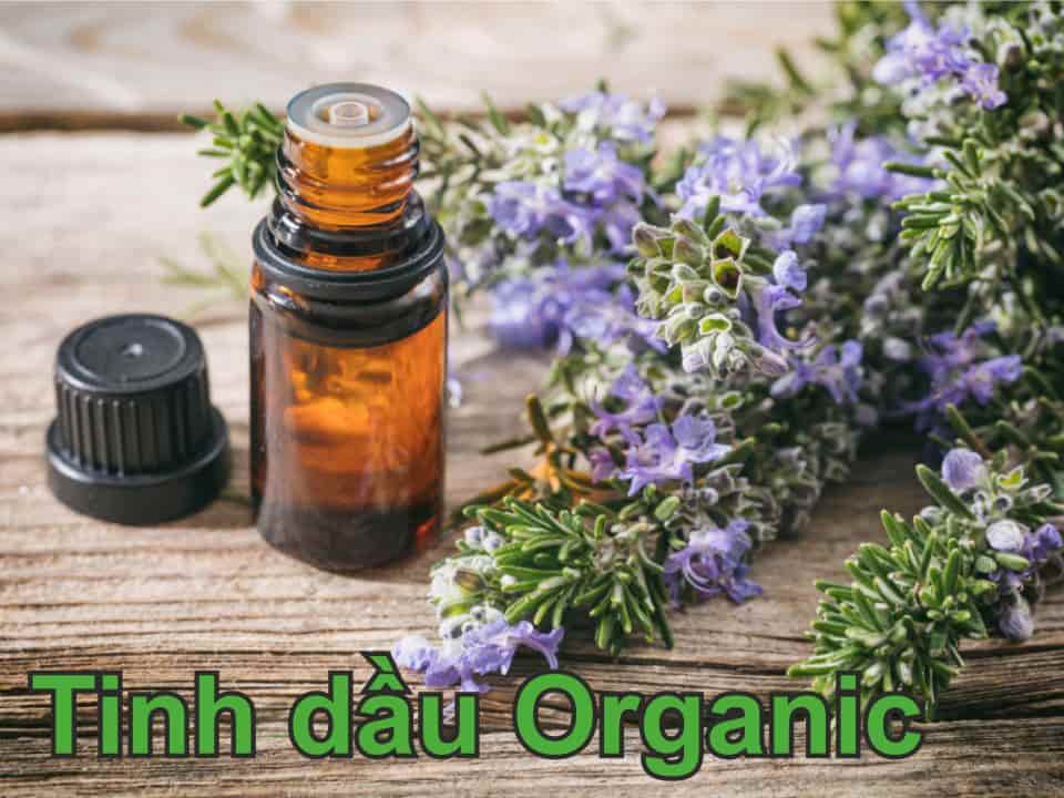 tinh dầu organic là gì