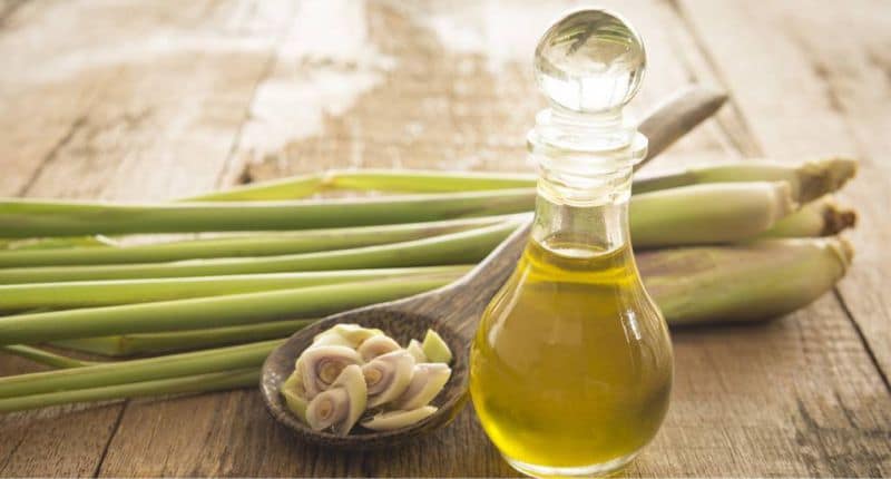 Top 9 loại tinh dầu dùng trong spa được yêu thích tinh dầu sả chanh tạo hương thơm dễ chịu