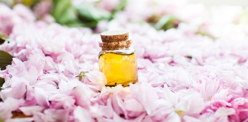công dụng tinh dầu hoa anh đào