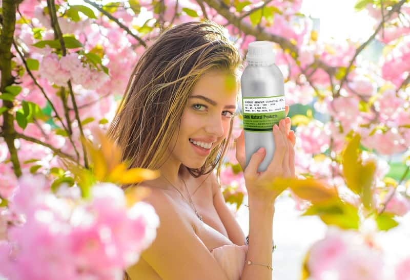 mua tinh dầu hoa anh đào giá sỉ ở đâu