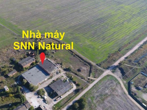 SNN sử dụng nguyên liệu sạch