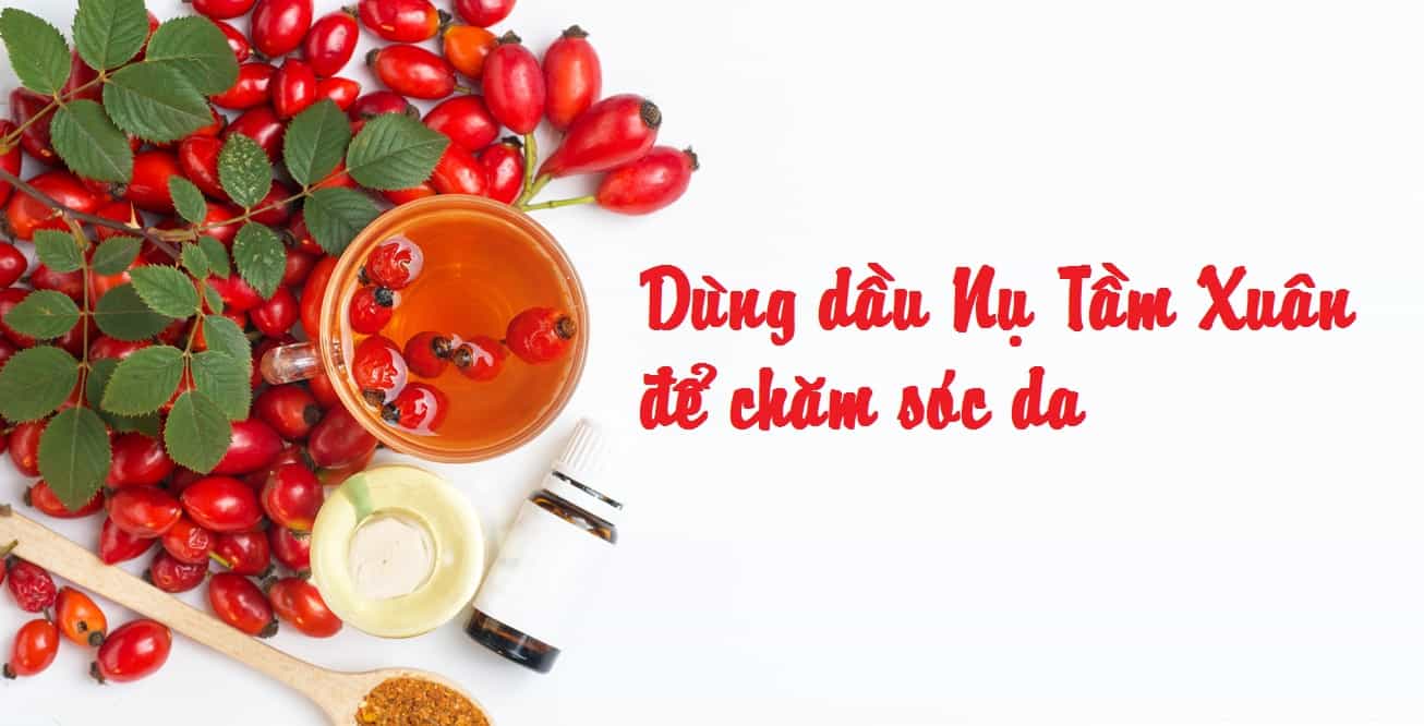 Dầu Nụ Tầm Xuân giá sỉ nhập khẩu chính hãng dầu nụ tầm xuân dùng để chăm sóc da