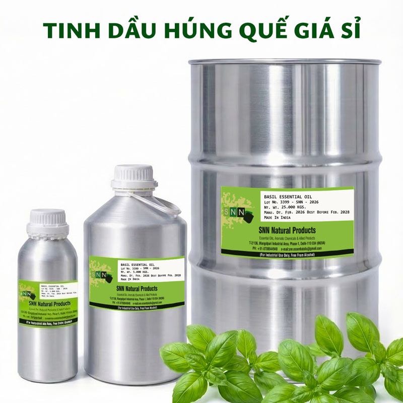 tinh dầu húng quế giá sỉ ktd