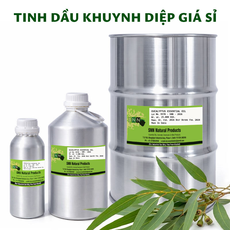 tinh dầu khuynh diệp giá sỉ ktd