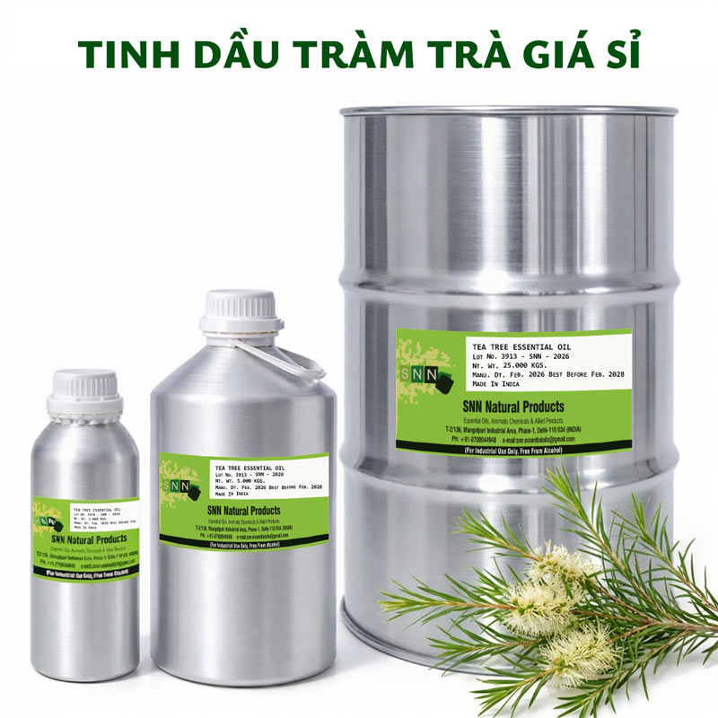 tinh dầu tràm trà bán sỉ