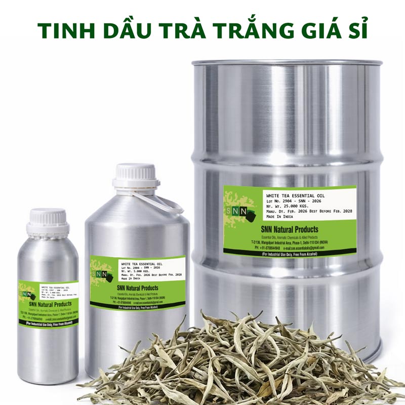tinh dầu trà trắng giá sỉ ktd