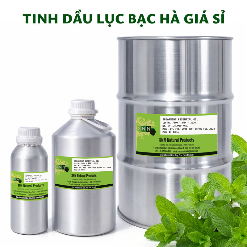 tinh dầu lục bạc hà giá sỉ ktd