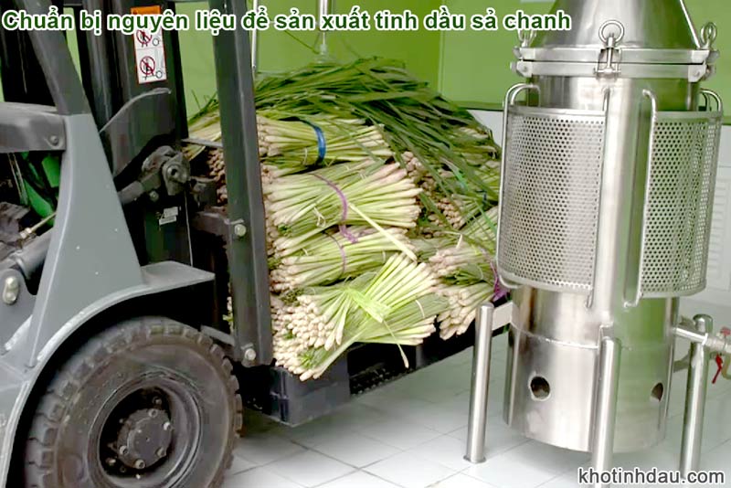 nguyên liệu sản xuất tinh dầu sả chanh