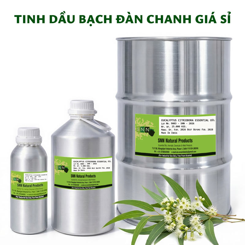 tinh dầu bạch đàn chanh giá sỉ ktd