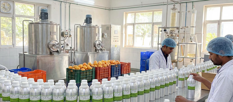 tinh dầu bưởi giá sỉ đóng chai tại ấn độ