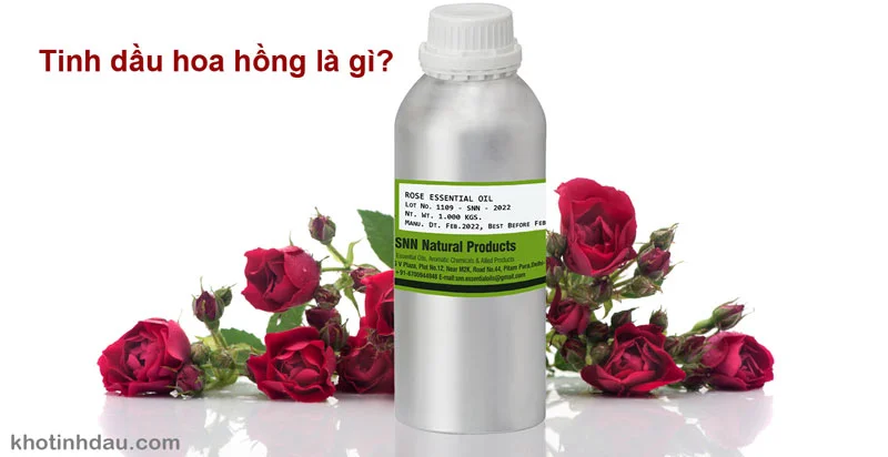 tinh dầu hoa hồng là gì
