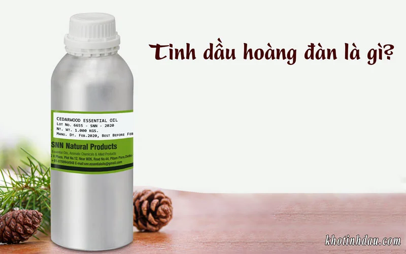 Tinh dầu Hoàng Đàn Giá Sỉ tinh dầu hoàng đàn cedarwood