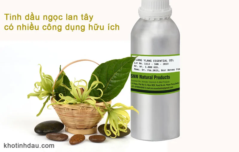 Tinh dầu ngọc lan tây Giá Sỉ nhập khẩu chính hãng từ Ấn Độ tinh dầu ngọc lan tây có nhiều công dụng tốt