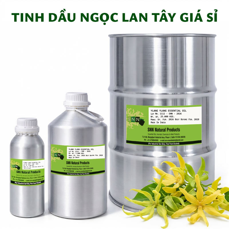 tinh dầu ngọc lan tây bán buôn
