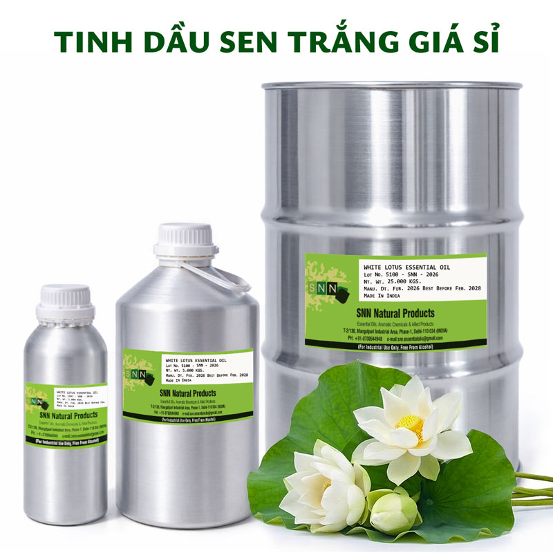tinh dầu sen trắng giá sỉ ktd