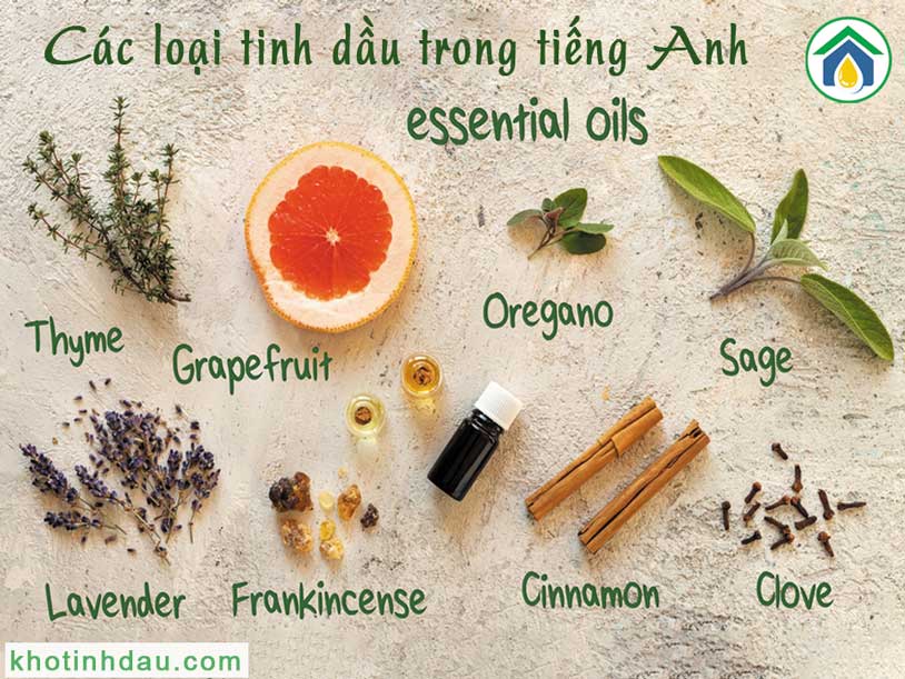 tinh dầu tiếng anh