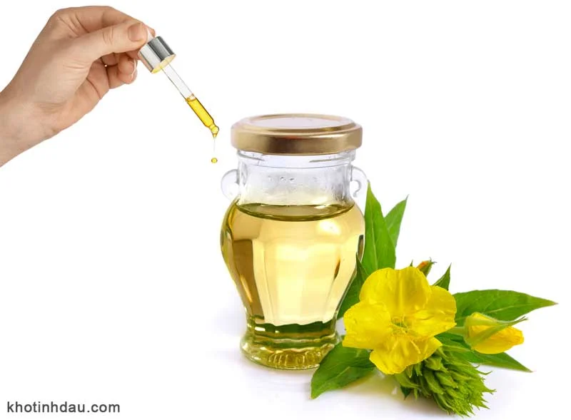 cách sử dụng dầu hoa anh thảo